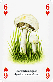 Spielkarte