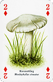 Spielkarte