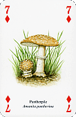 Spielkarte