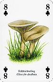 Spielkarte
