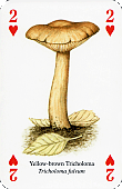 Spielkarte