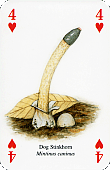 Spielkarte