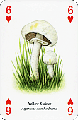 Spielkarte