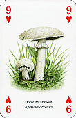 Spielkarte