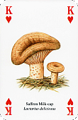 Spielkarte