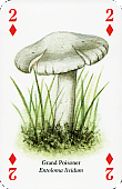 Spielkarte