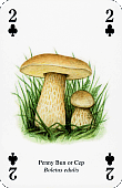 Spielkarte
