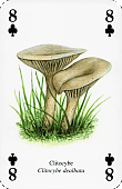 Spielkarte