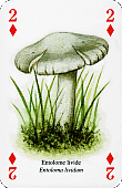 Spielkarte