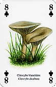 Spielkarte