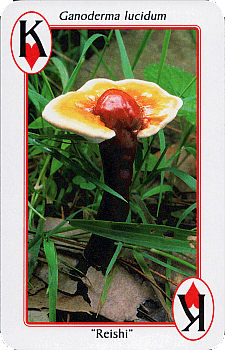 Spielkarte