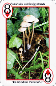 Spielkarte