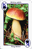 Spielkarte