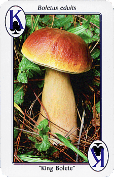 Spielkarte