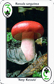 Spielkarte