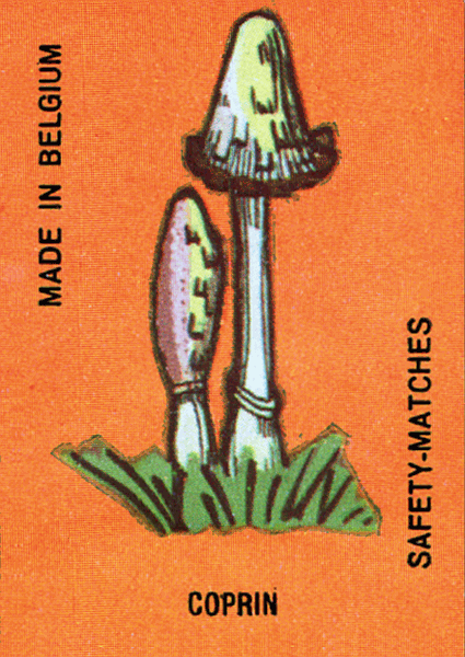 Z&uuml;ndholzetikett