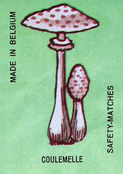 Z&uuml;ndholzetikett