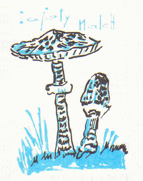Z&uuml;ndholzetikett