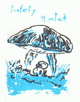 Z&uuml;ndholzetikett