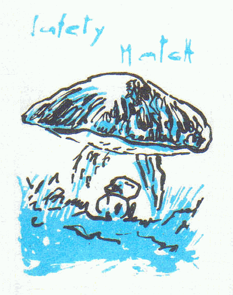 Z&uuml;ndholzetikett