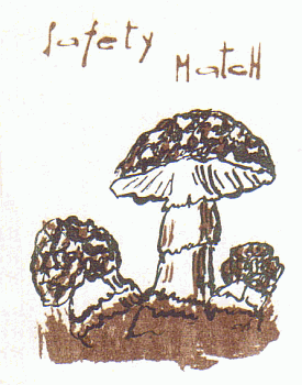 Z&uuml;ndholzetikett