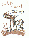 Z&uuml;ndholzetikett