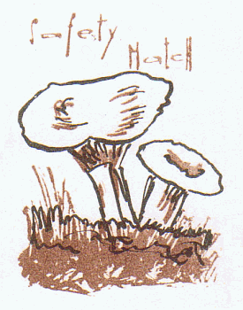 Z&uuml;ndholzetikett