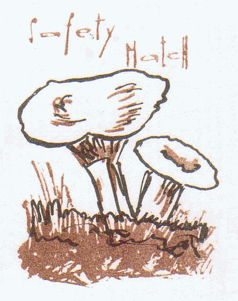 Z&uuml;ndholzetikett