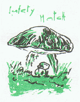 Z&uuml;ndholzetikett