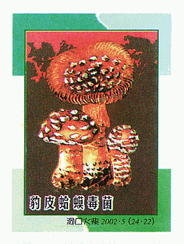 Z&uuml;ndholzetikett