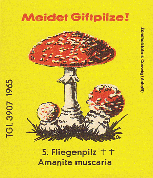 Z&uuml;ndholzetikett