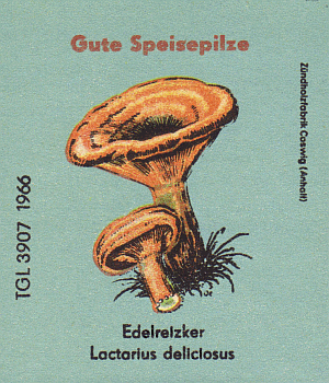 Z&uuml;ndholzetikett