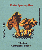 Z&uuml;ndwarenetikett