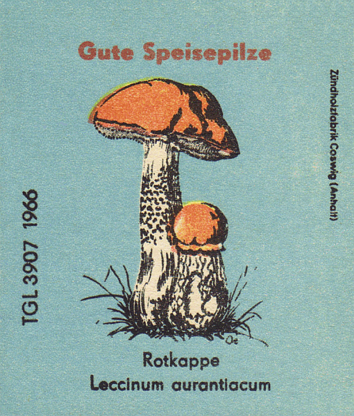 Z&uuml;ndholzetikett