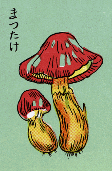 Z&uuml;ndholzetikett