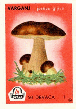 Z&uuml;ndholzetikett