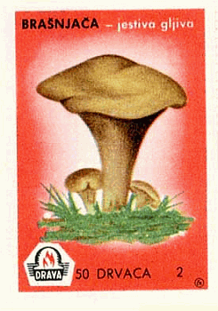 Z&uuml;ndholzetikett