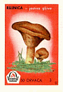 Z&uuml;ndholzetikett