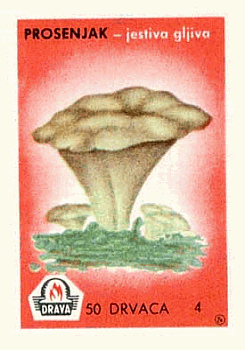 Z&uuml;ndholzetikett