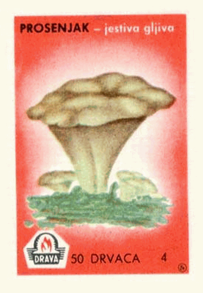 Z&uuml;ndholzetikett