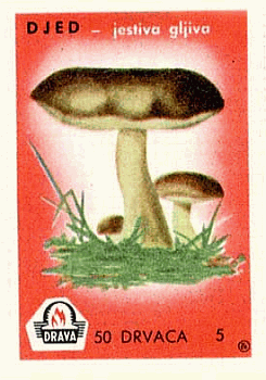 Z&uuml;ndholzetikett