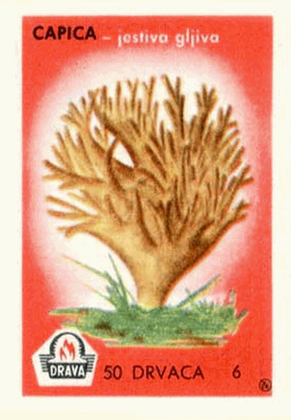 Z&uuml;ndholzetikett