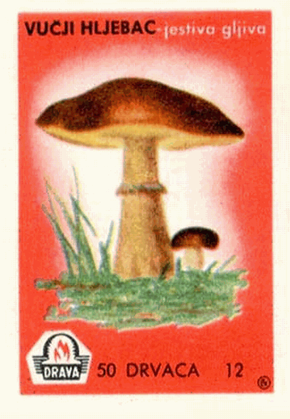 Z&uuml;ndholzetikett