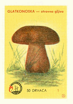 Z&uuml;ndholzetikett