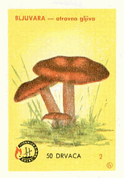 Z&uuml;ndholzetikett