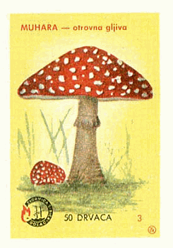 Z&uuml;ndholzetikett