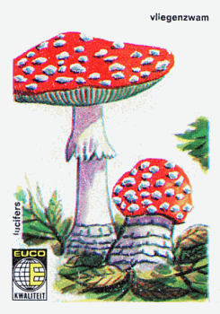 Z&uuml;ndholzetikett