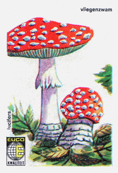 Z&uuml;ndholzetikett