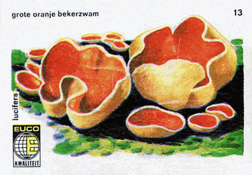Z&uuml;ndholzetikett