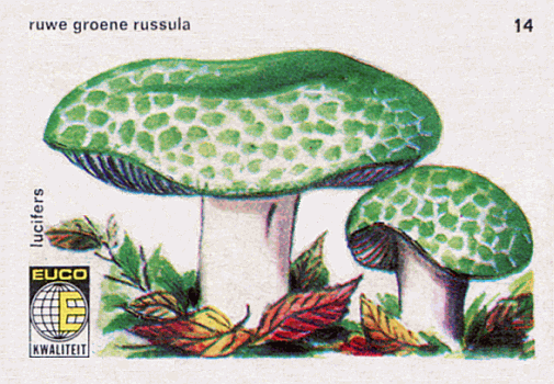 Z&uuml;ndholzetikett